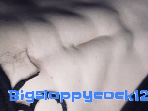 Bigsloppycock125
