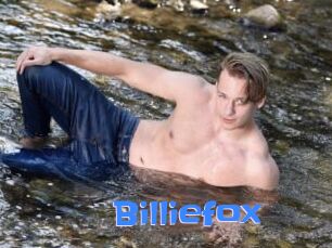 Billiefox