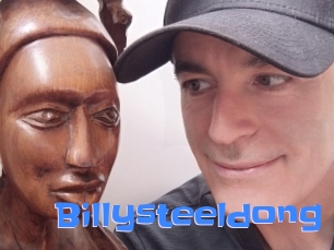 billysteeldong Mausi Privat
