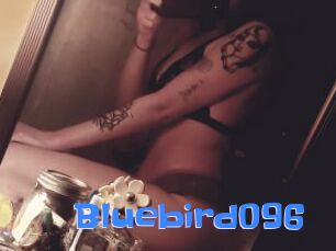 Bluebird096