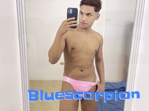 bluescorpion Mausi Privat