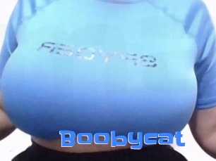 Boobycat