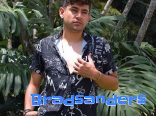 Bradsanders