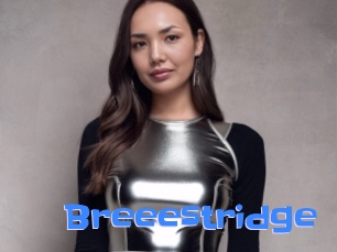 Breeestridge
