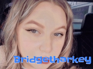 Bridgetharkey