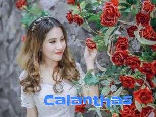 Calanthas