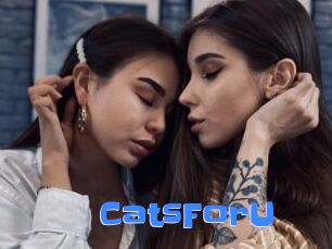 CatsForU
