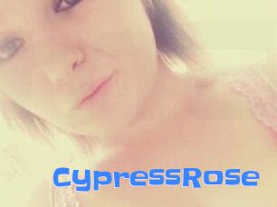 Cypress_Rose