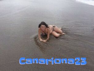 Canariona23