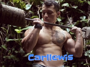 carllewis Mausi Privat