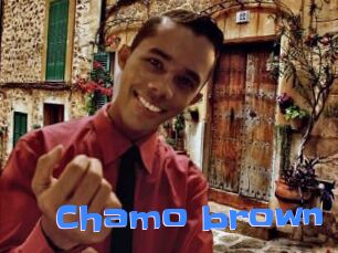 Chamo_brown