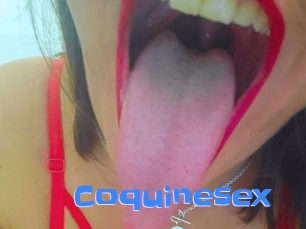 coquinesex Mausi Privat