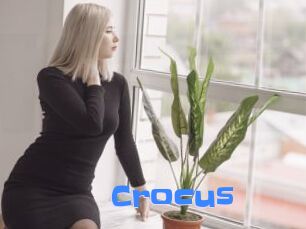 Crocus