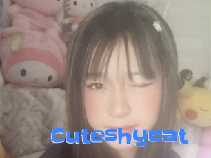 cuteshycat Mausi Privat