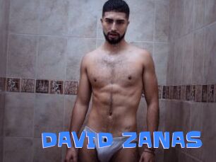 DAVID_ZANAS