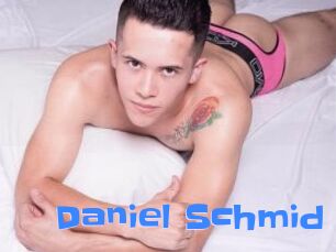 Daniel_Schmid