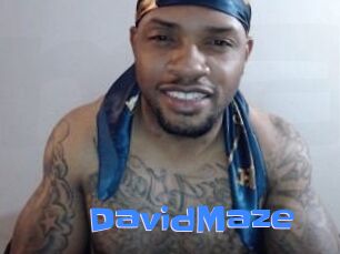 David_Maze