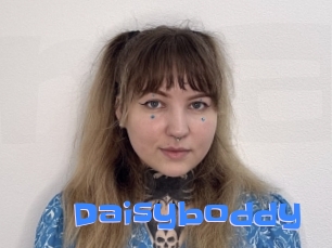 Daisyboddy