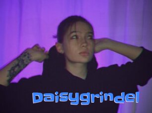 Daisygrindel