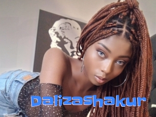 dalizashakur Mausi Privat