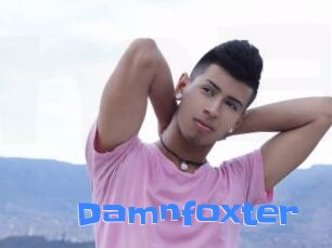 Damnfoxter