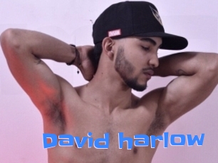 david_harlow Mausi Privat