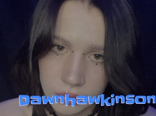 Dawnhawkinson