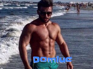 Domluc