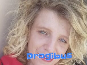 Dragibus