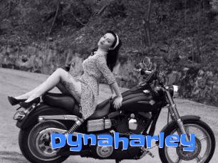 Dynaharley