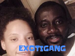 EXOTIGANG