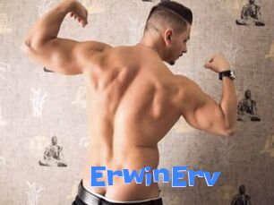 ErwinErv