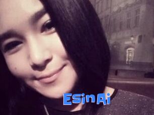 EsinAi