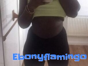 Ebony_flamingo