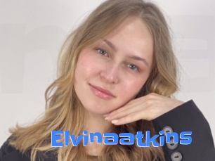 Elvinaatkins