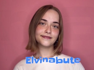 Elvinabute