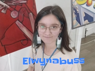 Elwynabuss