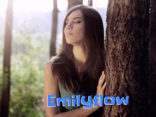 Emilyflow
