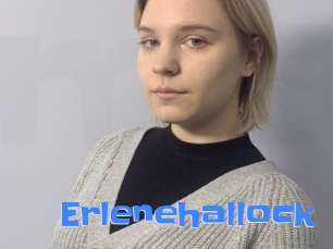 Erlenehallock