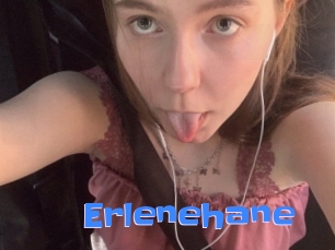 Erlenehane