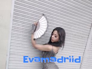 Evamadriid
