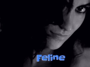 Feline