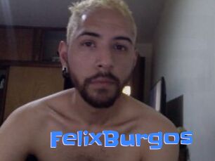 FelixBurgos