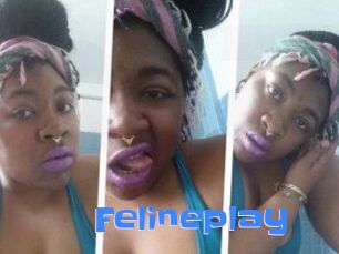 Felineplay