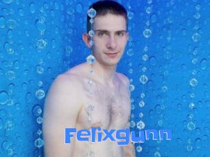 Felixgunn