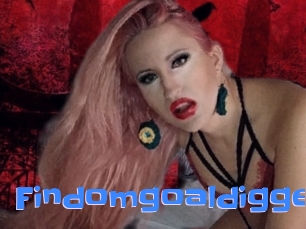 Findomgoaldigger
