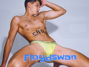 Floydswan