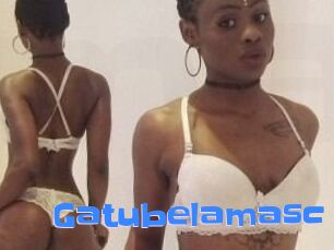 Gatubela_masc