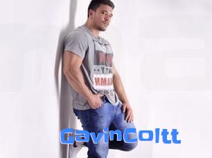 GavinColtt