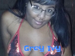 Grey_Ivy